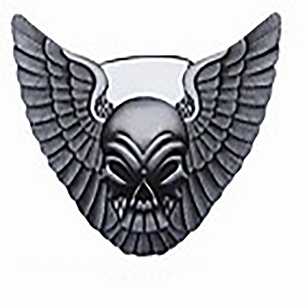 PiWear Belt Buckle Skull with Wings BT077