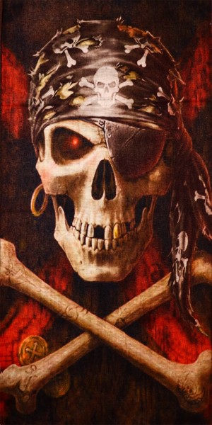 PiWear Schlauchschal Pirate-Skull